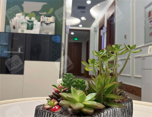 石家庄芘丽芙贵美人环境 石家庄芘丽芙贵美人环境