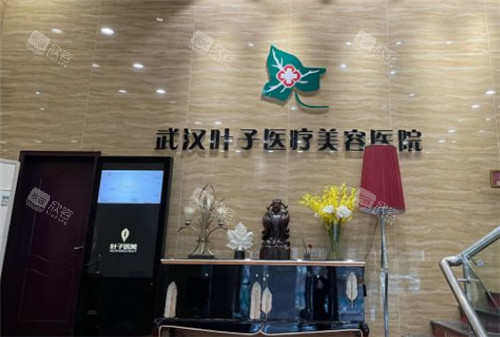 武汉叶子整形logo墙 武汉叶子整形logo墙