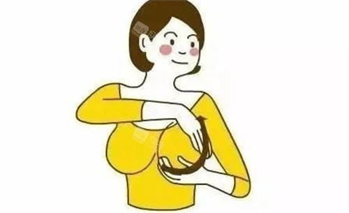 胸部提升动画图 胸部提升动画图