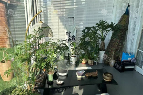 烟台青韩整形谈话区环境图