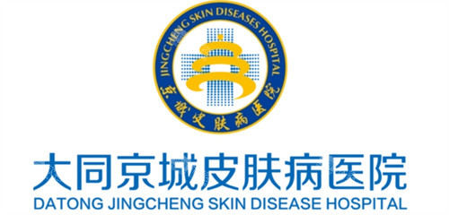 大同京城皮肤医院logo
