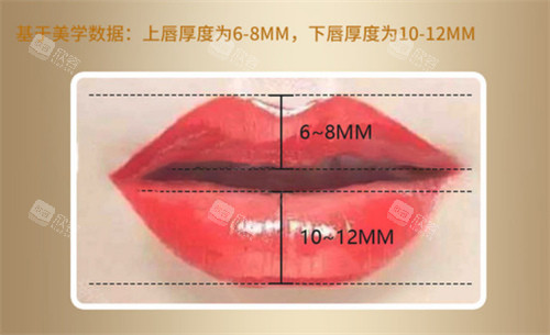 唇部标准图示 唇部标准图示