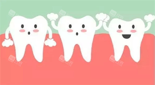 牙齿健康图 牙齿健康图