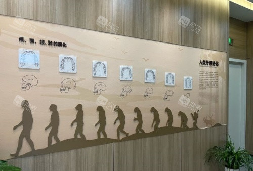 衢州可恩口腔人类进化展示图 衢州可恩口腔人类进化展示图