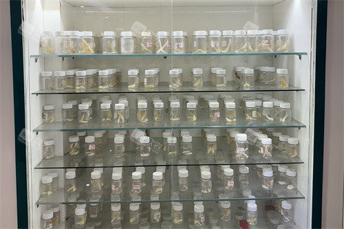 广州广大整形医院展柜 广州广大整形医院展柜