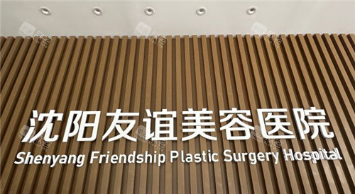 沈阳友谊整形logo墙